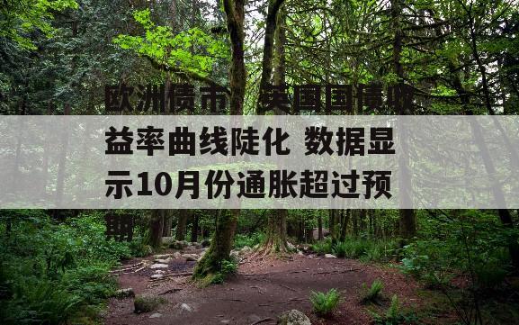 欧洲债市：英国国债收益率曲线陡化 数据显示10月份通胀超过预期